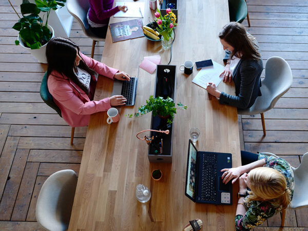 Attorney for Business Formation in Chico, CA