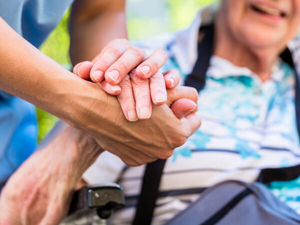 Chico Guardianship Lawyer